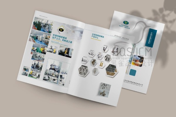 乐清市企业宣传画册策划设计