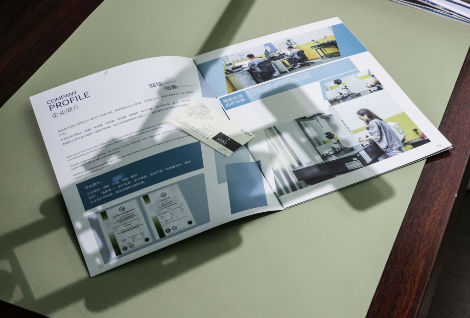 苏州瑞硕模具有限公司